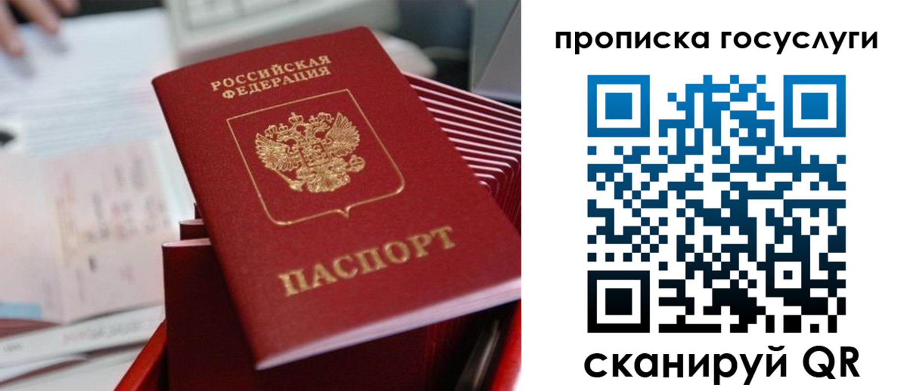 прописка законно в Аксае
